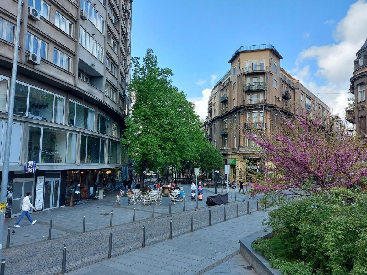 Lotta Apartment Βελιγράδι Εξωτερικό φωτογραφία